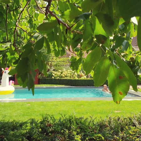 B&B 'Het Logiement Sint-Maria-Lierde Ngoại thất bức ảnh